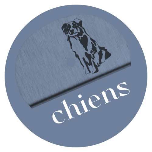 Chiens